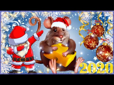 НОВОГОДНЕЕ ПОЗДРАВЛЕНИЕ С НОВЫМ 2020 ГОДОМ ! Мечта сбывается! Год крысы видео