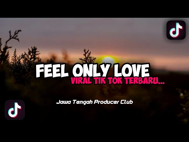 Free Flm || Dj Feel Only Love Thailand Style || Viral Tik Tok || Iqbal Story Rimex class=