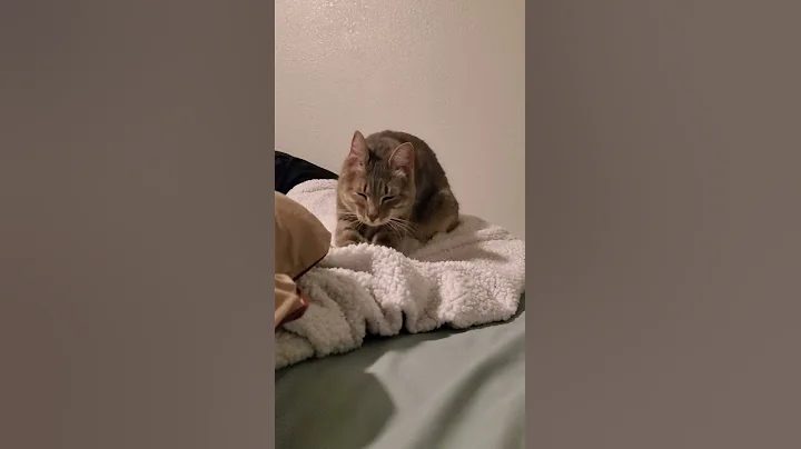 Mittens on her favorite blanket