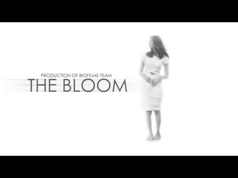 The Bloom - Kuwaiti Short Movie