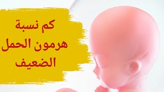 كم نسبة هرمون الحمل الضعيف | نسبة التحليل الرقمي للحمل الضعيف