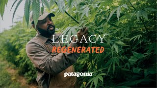 Legacy Regenerated | Patagonia Films