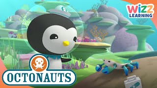 Octonauts  Helping the Animals | Cartoons for Kids | Wizz Learning