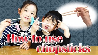 How to use chopsticks♡Japan｜お箸の使い方【DWEキッズ】