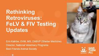 Rethinking Retroviruses: FELV & FIV Testing Updates