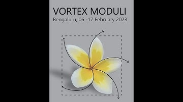 Statistical Mechanics of Vortices by Nick Manton