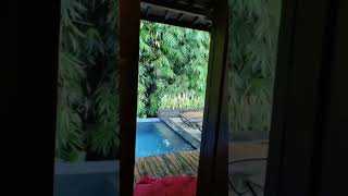 Ubud Heaven Sayan Resort Bali 