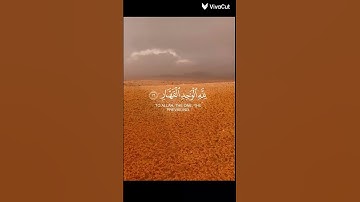 القرآن الكريم #quran #اكسبلور #المصحف #تلاوة_خاشعة