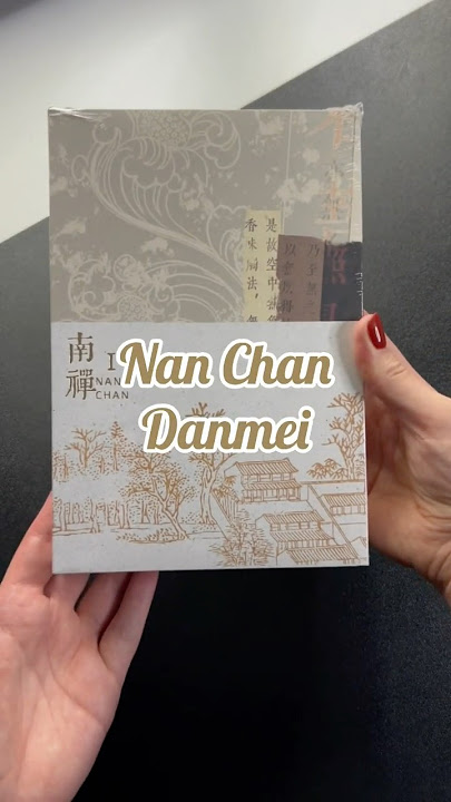 Nan Chan Vol.1 - Danmei Unpacking