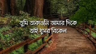 Ami Tomar Chokher Kalo Chai Lyrics || Bangla WhatsApp Status  || Rupam Islam