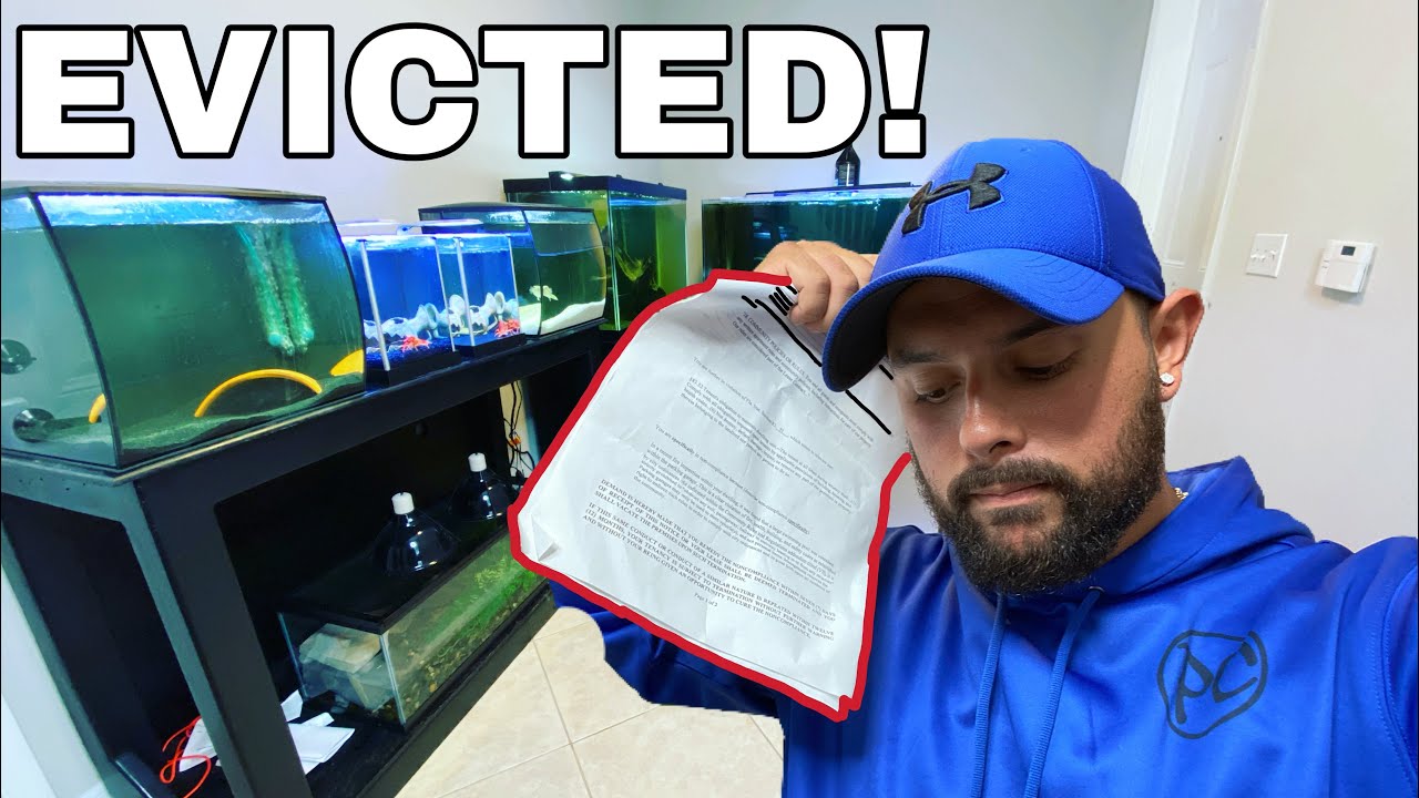 GETTING EVICTED!! Moving All My Fish..What a Disaster! 