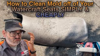 COMPLETELY Clean Mold off your boating upholstery with this Simple Trick!