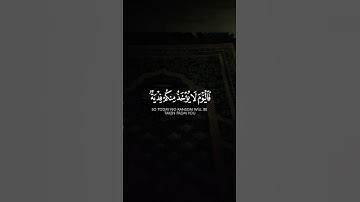 تلاوة جميلة للقرآن الكريم -  Part45 | #قرآن #قران_كريم #quran