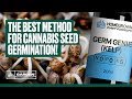 How to germinate cannabis seeds  guaranteed germination with this method