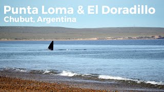 Punta Loma & Playa El Doradillo - Puerto Madryn, Argentina