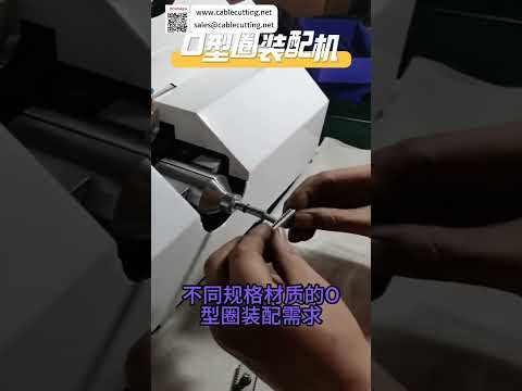 High Efficiency O Ring Assembly Machine Fast Automated Sealing Production Equipment Line - Shorts