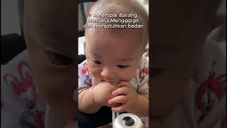 Di Usia Ini Otak Anak Lagi Berkembang Cept Bangt Terutama Bagian Mengatur Emosi Dan Kontrol Impuls