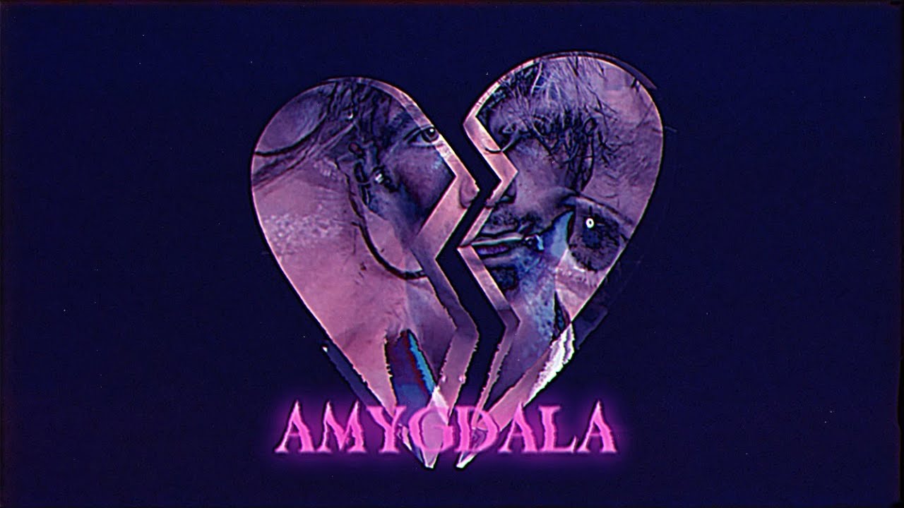 Watch Profit Drama - Amygdala (sad diy video) on YouTube Watch Profit Drama - Amygdala (sad diy video) on YouTube