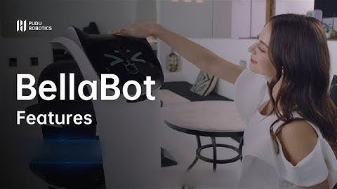 Pudu - BellaBot Features This is BellaBot, a delivery robot Runs into you unexpectedly