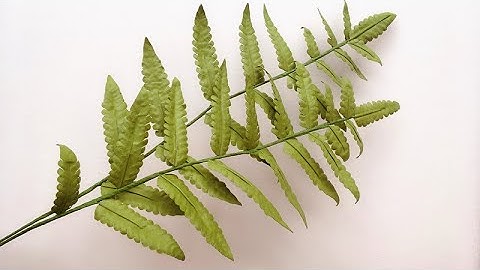 ABC TV | How To Make Fern Leaves Paper - Craft Tutorial