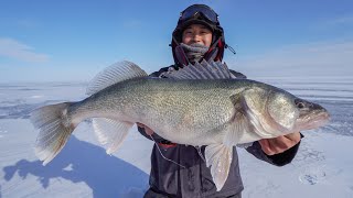 Ice Fishing The Walleye Capital of The World! (I CAUGHT A GIANT)