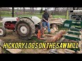 Hickory logs on the sawmill