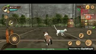 Симулятор кошки онлайн тактики к боссам screenshot 2