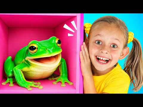 IND 2 Compilation What is in the box + Big toys + Very small + Left and right Turk + Too much ice...