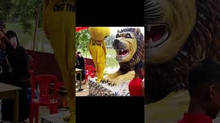 teddy vs lion ?|| new video omgteddyfyp viralvideo trending funnyreels