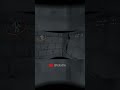 That Thing SCARED Me
