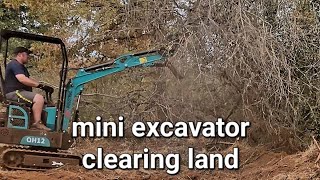 1 ton Chinese mini excavator review, land clearing, and trenching.