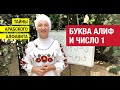 Тайны арабского алфавита. Урок №1. Нумерология арабских букв. Буква Алиф и число 1