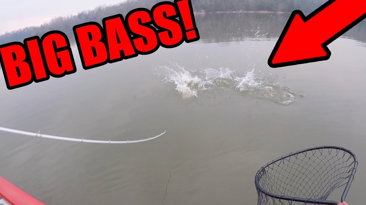 Bass Fishing Early Before School! (GIANT BASS)