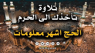 الحج اشهر معلومات - تلاوة ندية من سورة البقرة