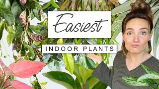 EASIEST Houseplants Even YOU Can't Kill  Top 10 Easy Plants In My Collection