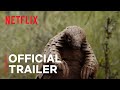 Pangolin: Kulu’s Journey | Official Trailer | Netflix