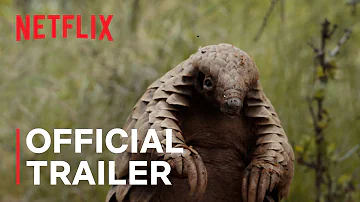 Pangolin: Kulu’s Journey | Official Trailer | Netflix