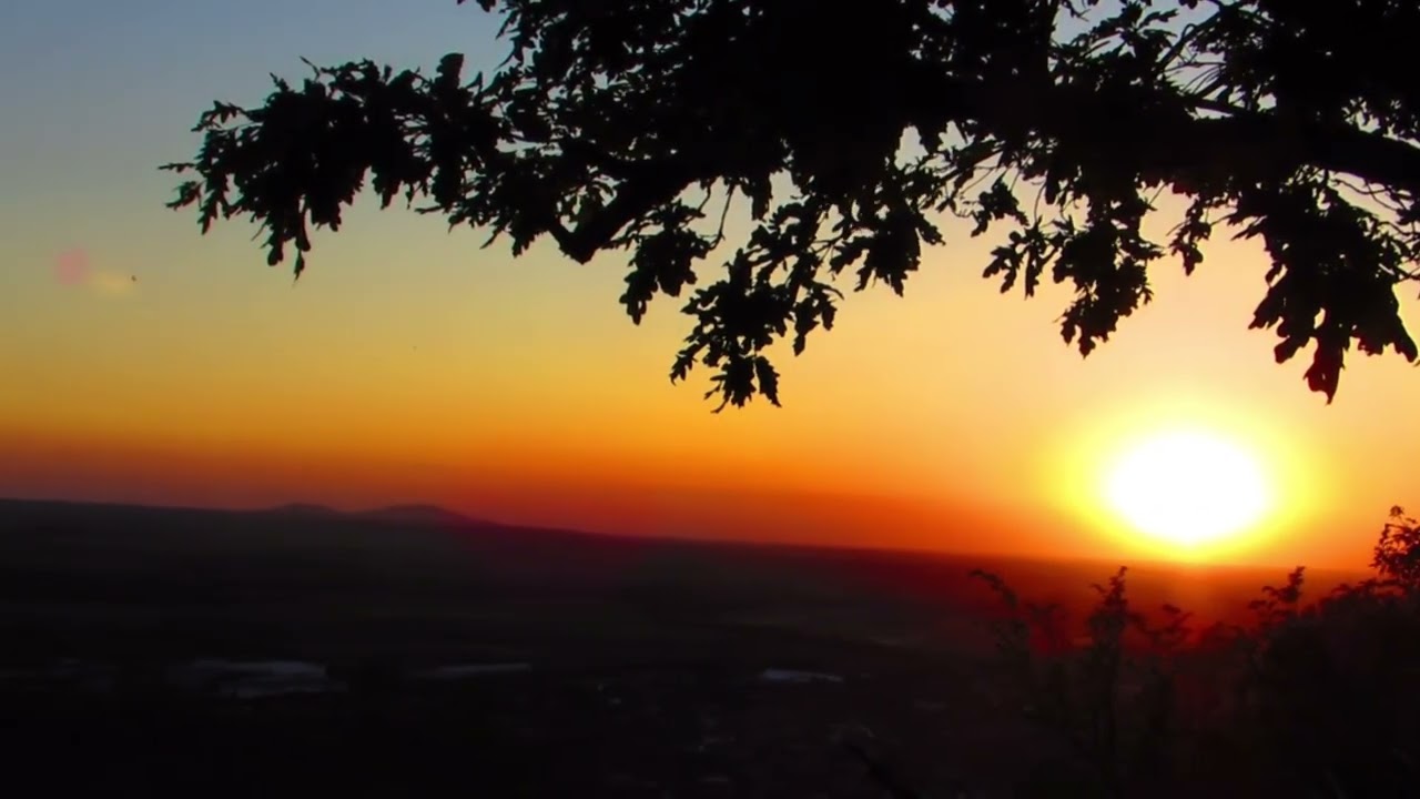 Rooj Mov So Haujlwm by Txawj Pes Vaj