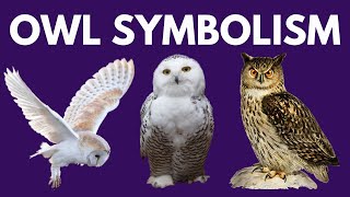 Owl Symbolism - What if you have an Owl Spirit Animal?