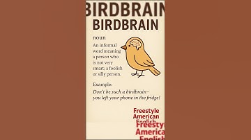 What Does ‘Birdbrain’ Mean?  | English Slang Explained #learnenglish #usefulexpressions #idioms