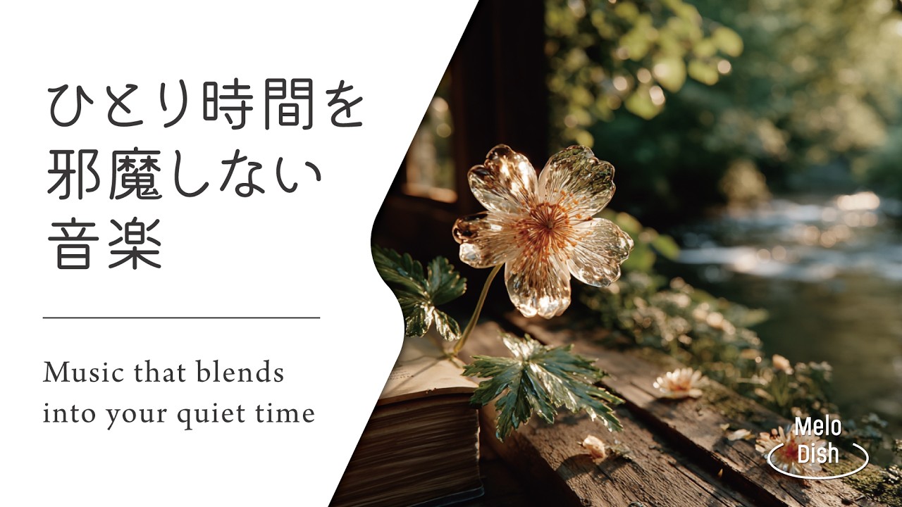 【集中のそばにある静かな音楽 #25】お部屋にそっと溶け込む音│Soft Acoustic BGM for Immersive Work Sessions
