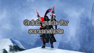 PSO2NGS - Quick guide for screenshots.