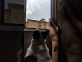 به وقت غر زدن به وقت غر زدن