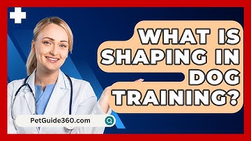 What Is Shaping In Dog Training? - PetGuide360.com