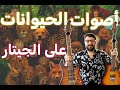 أصوات الحيوانات على الجيتار الكهربائي 25 صوت في 3 دقايق 