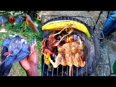  Servival Bird Hunting In The Hills | Epic Catch Clean Ñ Cook🔥