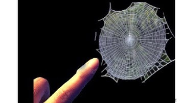 🕸If You Ever Come Across Cobwebs In Your Dream Please Do This....🕷