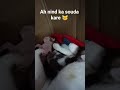 mom love is the most faithful😿 #shortsfeed #catlovers #ytshorts