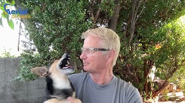 Ditch the Spreadsheets: Drone Reports That Speak for Themselves | Construction Site Comms