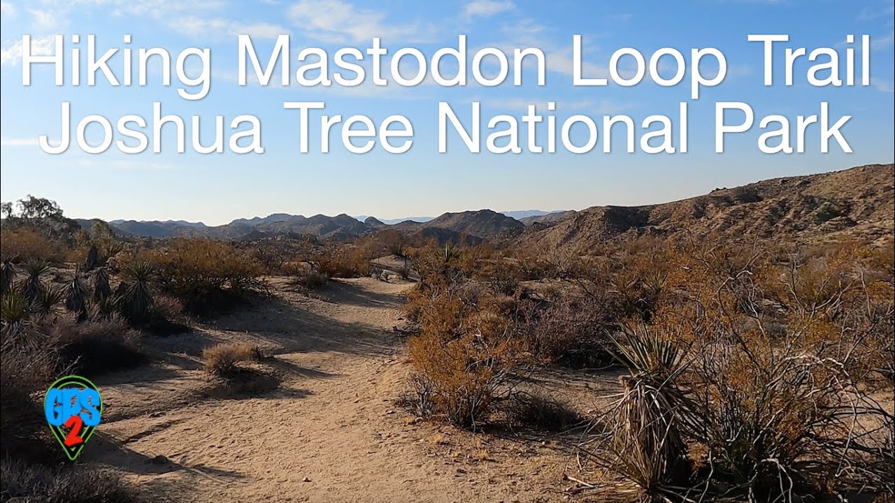Hiking the Mastodon Trail at Joshua Tree | Solo RV Travel and Adventure GPS